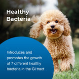 Pet-Ag Zoologic Bene-Bac Plus Mammal Gel - 30 gm Syringe - FOS & Probiotics for Dogs, Cats, Exotic and Wildlife Mammals