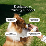 Petlab Co. Joint Care Chews for Dogs - High Levels of Glucosamine, Green Lipped Mussels, Omega 3 and Turmeric - Hip and Joint Supplement for Dogs to Actively Support Mobility, Packaging May Vary