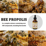 Pleasantly Warm Bee Propolis for Dogs & Cats, Liquid Dental Care Supplement for Oral Hygiene & Immune Support, Helps Freshen Breath & Soothe Gums, Natural Flavonoids, 2 fl oz