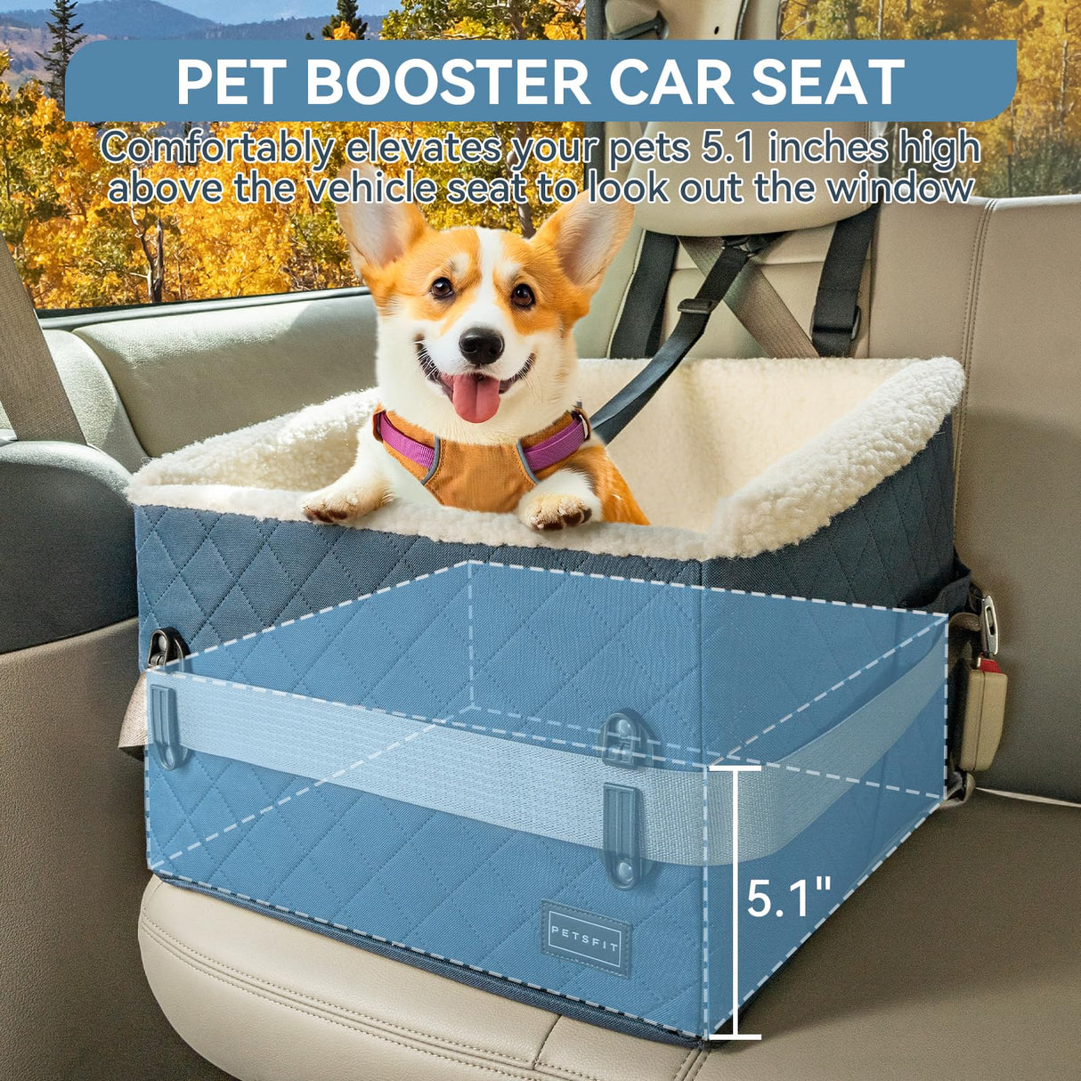 PETSFIT Pet Car Seat for Small Dogs, Soft Foam Dog Booster Car Seat with Patented Safety Buckles, Storage Pockets and Detachable Clip-On Safety Leash, Dog Carseat for Small Dogs Under 30 LBS (Blue)