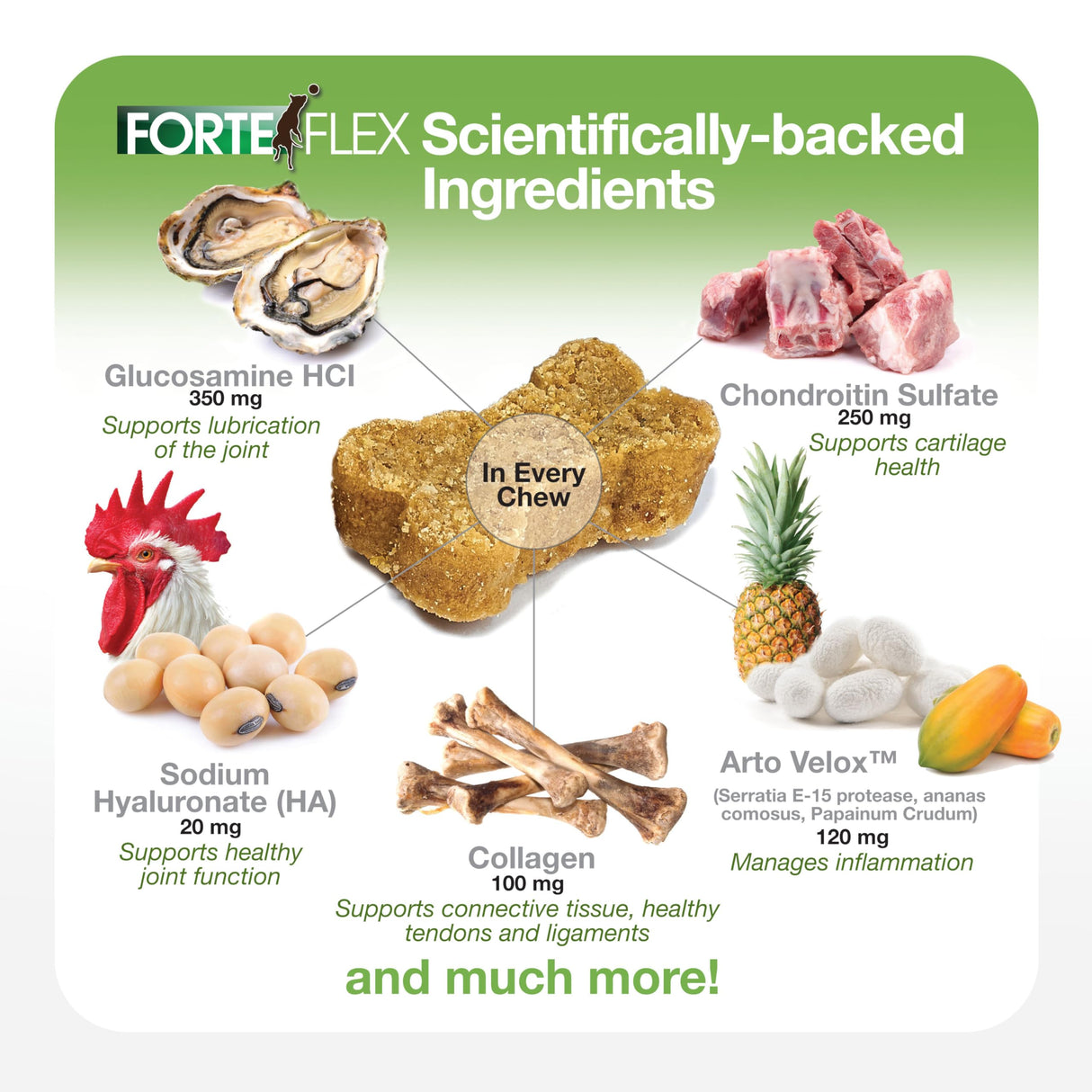 Forte Flex K9 Joint & Hip Supplement for Dogs – Hip Dysplasia, Joint Stiffness, Anti-Inflammatory & Mobility Support – Serrapeptase, Glucosamine, Chondroitin, Collagen & HA for Senior & Active Dogs