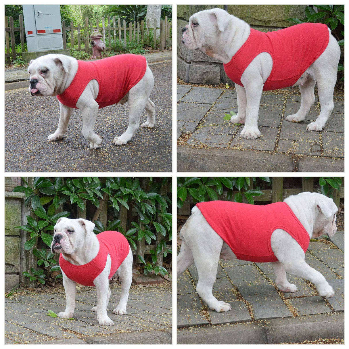 Lovelonglong 2019 Summer Pet Clothing, Dog Clothes Blank T-Shirts Ribbed Tanks Top Thread Vests for Large Medium Small Dogs 100% Cotton Red L-XL
