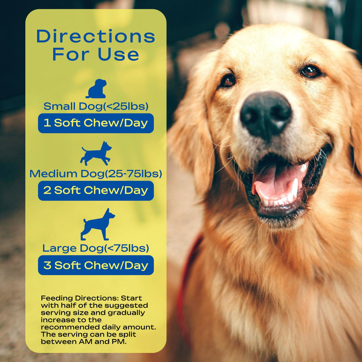 Yeast-Infection-Treatment for Dogs – Soothing Itchy Skin, Ears & Paws – Natural Relief with Omega-3, Collagen, PAU D’Arco & Apple Cider Vinegar – Dog Yeast-Infection Support Chews