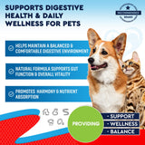 Natural Intestinal Defense for Dogs, Puppies & Cats, Kitten – Herbal Cleanse with Wormwood, Black Walnut – Promotes Healthy Gut – Advanced Broad Spectrum Formula for Large, Medium Small para Perros