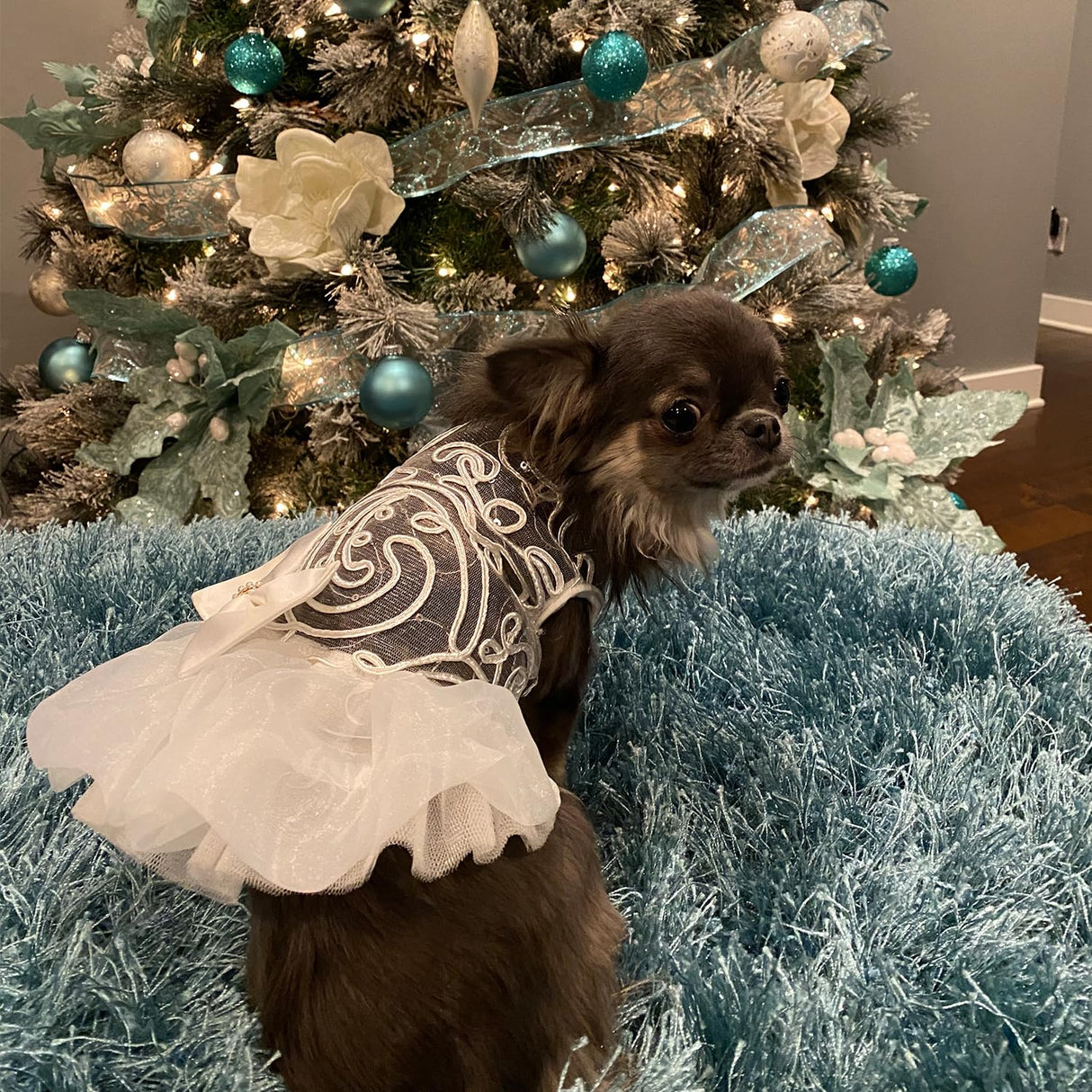 Hollow Dog Wedding Dress Tutu Skirt Luxury Lace Pearl Bow Christmas Dress Costume for Small Dog Pet Apparel (XS, White)