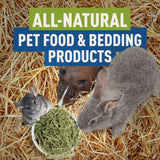 Blue Mountain Hay Organic Bedding Straw (5 lb) – USDA Certified Organic, Non-GMO, Chemical Free, Soft & Highly Absorbent Natural Bedding for Pet Habitats, Gardening, Composting & DIY Projects