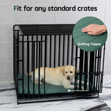 BALANCE Dog Crate Bed, Orthopedic Dog Bed Pad with Waterproof Liner, Washable Crate Foam Pet Mat for Large, Medium, Puppy Dogs Breeds, Mint Leaf, 42"x28"x2"