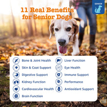 Load image into Gallery viewer, Zesty Paws Senior Dog Multivitamin Treats - Glucosamine for Dogs + Digestive Enzymes &amp; Probiotics - Grain Free Dog Vitamins and Supplements for Skin &amp; Coat + Immune Health Beef - Advanced - 90ct

