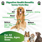Probiotics for Dogs – Digestive Health Chews with Prebiotics & Enzymes | Dog Probiotic Supplement for Gut, Diarrhea Relief, Gas & Allergy Support – Chicken Flavor Soft Chews