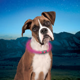 Nite Ize NiteHowl Rechargeable LED Safety Necklace - Dog Light for Dog-Walking Gear - Weather-Resistant Design - 5 Hours Runtime - Cut to Fit from 12” to 27” - Tie Dye Pink