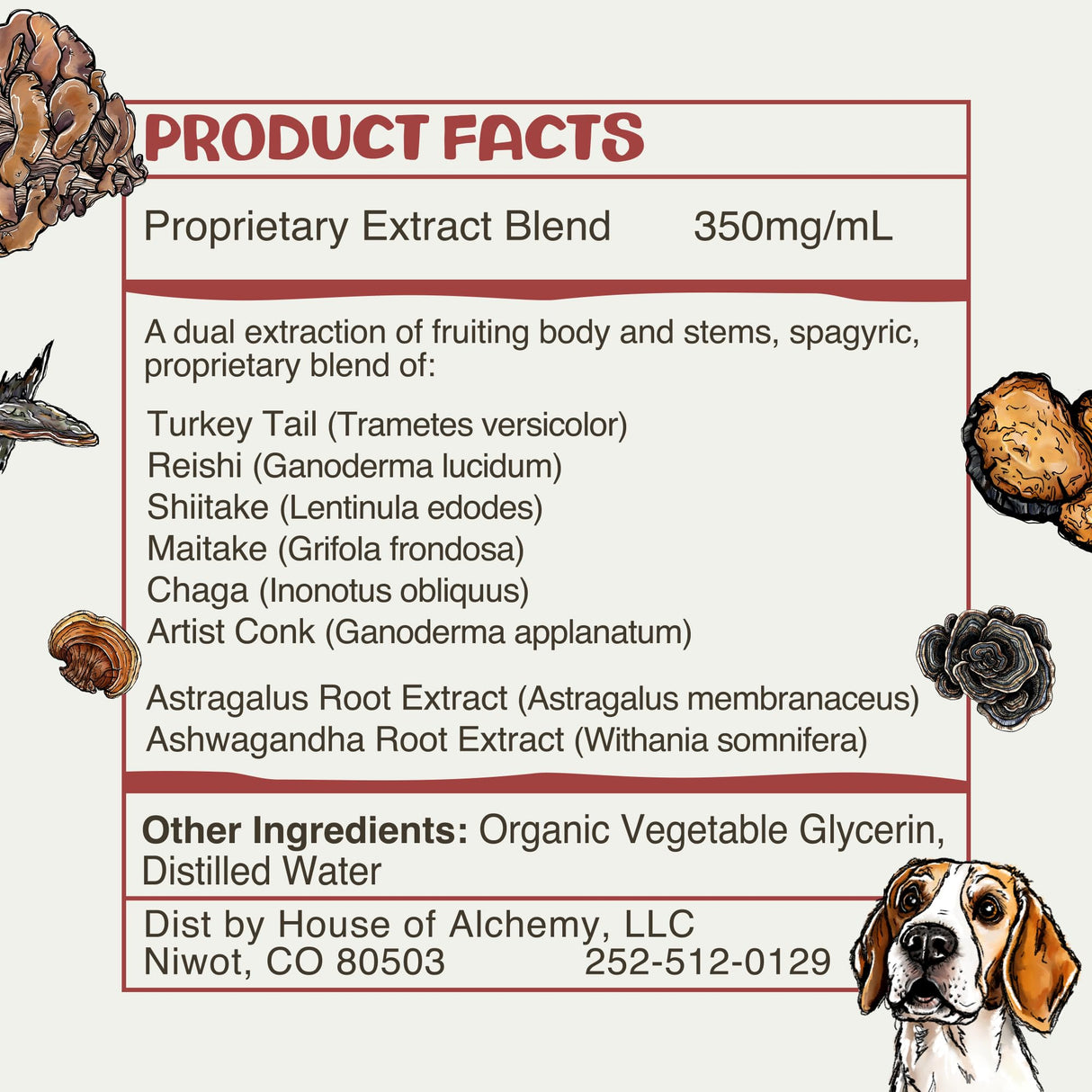 MycoDog Vitality - Turkey Tail Mushroom for Dogs - Mushroom & Adaptogen Supplement for Senior Dogs - Supporting Immune Health & Daily Wellness - with Reishi, Chaga