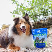 Load image into Gallery viewer, Ark Naturals Brushless Toothpaste, Dog Dental Chews for Medium Breeds, Freshens Breath, Helps Reduce Plaque &amp; Tartar, 18oz, 1 Pack
