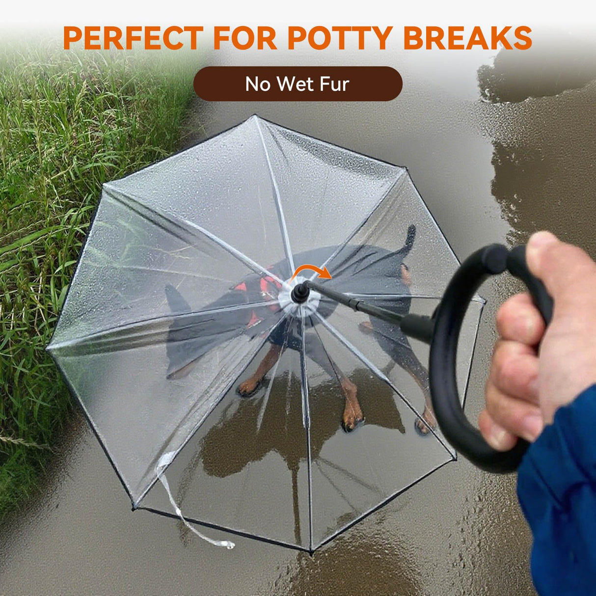 PETLESO Dog Umbrella for Small Breeds, Clear Small Dog Umbrella with Leash, Keep Pet Dry on Rainy Walks, Adjustable Shaft Angle Rain Umbrella, Self-Assembly, Metal Chain