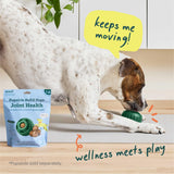 WOOF Hip & Joint Pupsicle Refill Pops - Dog Supplement for The Pupsicle Toy to Support Joint Health, Recovery, and Mobility - Large Pops