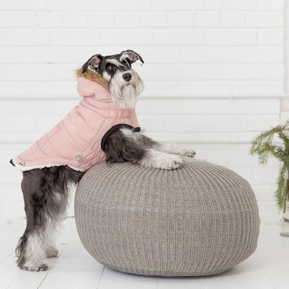 GF Pet Urban Parka - Pink - 2XS