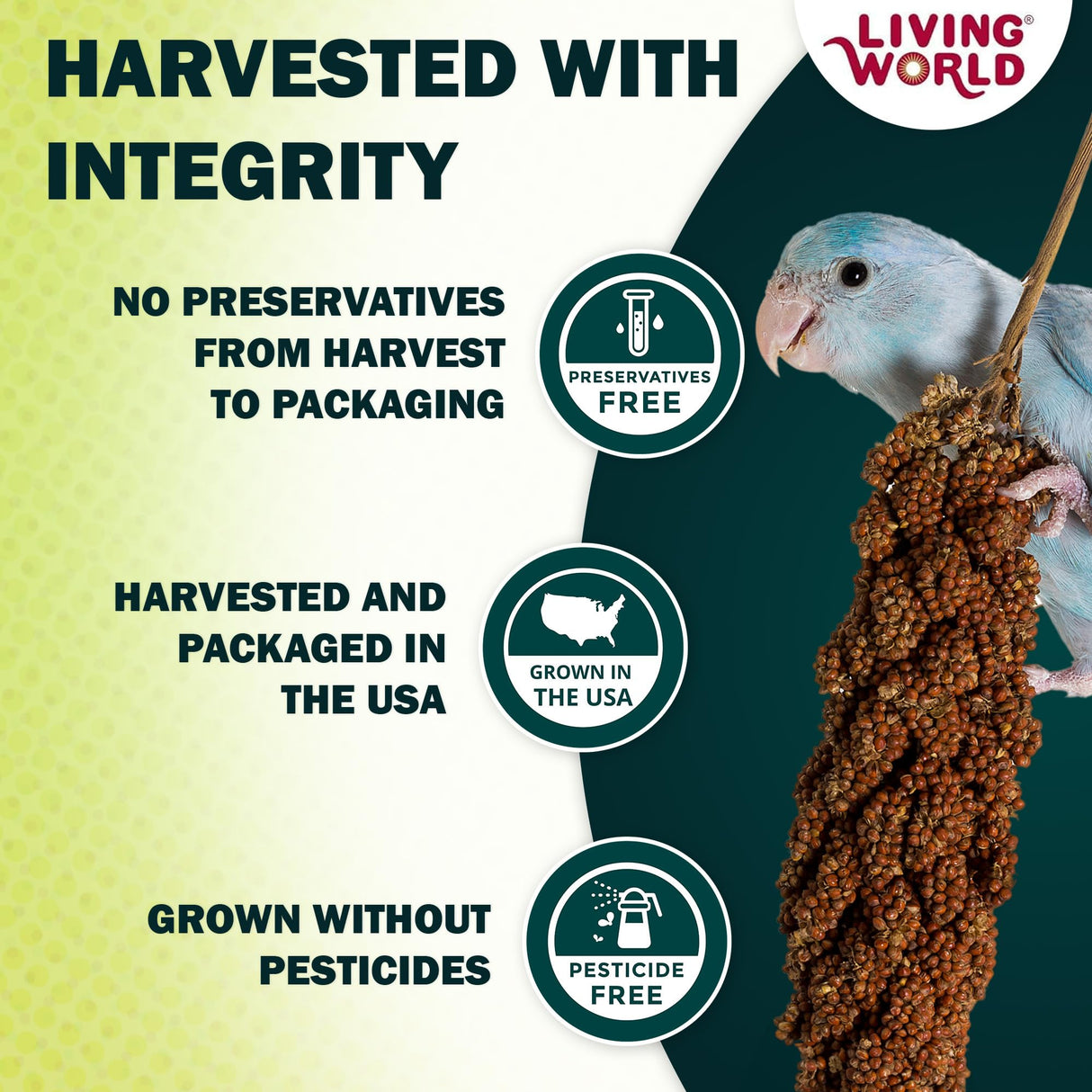 Living World – Millet Spray for Birds, 5 Pounds – Premium Treat for Budgies, Canaries, Finches, Cockatiels and Other Pet Birds