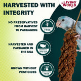 Living World – Millet Spray for Birds, 5 Pounds – Premium Treat for Budgies, Canaries, Finches, Cockatiels and Other Pet Birds