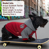 KYEESE Dog Hoodie Dogs Winter Stretchy Coat for Cold Weather Soft Dog Clothes for Small Dogs Comfort Cat Sweater Pet Sweatshirt with Drawstring Cat Coat with Leash Hole Warm Pet Clothes