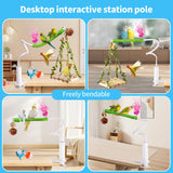 ZooVibe Bird Perch Stand with Swing, Desktop Bird Toy & Stand for Interacting, Interactive Playground for Sun Conure, Lovebirds, Conure, Budgie, Cockatiel - Non-Slip Adjustable Perch