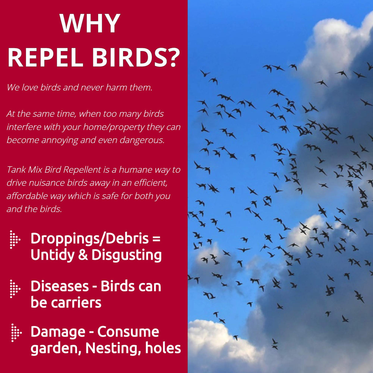 Bird Repellent Spray, Residential Bird Problem Solution by Flock Free Bird Control, 4 oz Concentrate