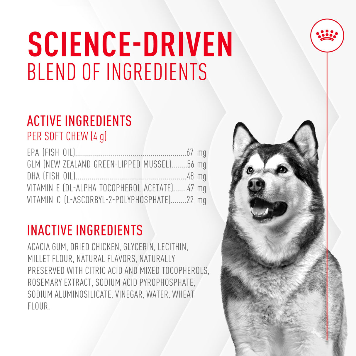 Royal Canin Joint Dog Supplement Soft Chews for Adult Dogs, 60 Count