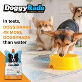 DoggyRade – Dog Sports Drink (Prebiotic, Isotonic Drink for Dogs) | Electrolytes, Nutrients & Amino Acids | Quick Hydration Drink for Dogs + Low Cal | More Than Just Water! | Chicken Flavor | 3x250ml