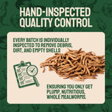 Hatortempt Bulk Dried Mealworms 10 lbs – Premium Non-GMO Dried Mealworms for Chickens – High Protein Organic Chicken Feed - Meal Worms for Birds & Chicken Treats for Laying Hens