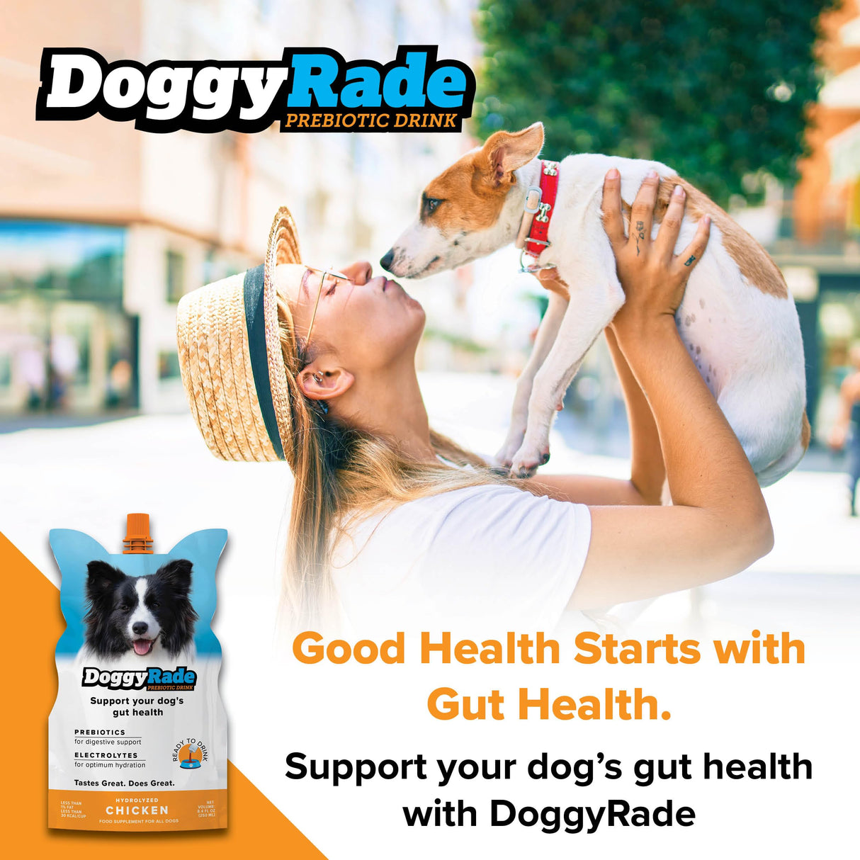 DoggyRade – Dog Sports Drink (Prebiotic, Isotonic Drink for Dogs) | Electrolytes, Nutrients & Amino Acids | Quick Hydration Drink for Dogs + Low Cal | More Than Just Water! | Chicken Flavor | 3x250ml