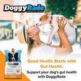 DoggyRade – Dog Sports Drink (Prebiotic, Isotonic Drink for Dogs) | Electrolytes, Nutrients & Amino Acids | Quick Hydration Drink for Dogs + Low Cal | More Than Just Water! | Chicken Flavor | 3x250ml