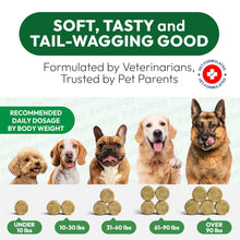 Load image into Gallery viewer, Dog Allergy Relief Chews - 170 Dog Allergy Chews - Itch Relief for Dogs - Omega 3 Fish Oil, Probiotics For Itchy Skin &amp; Hot Spots Allergies, Paw Licking, Dry Skin &amp; Coat Supplement - Beef Liver Flavor
