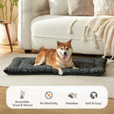 2 Pack Washable Dog Bed for Large Medium Small Dogs, Deluxe Plush Dog Crate Mat with Anti-Slip, Washable Orthopedic Durable Kennel Pad for Pet Sleeping Puppy(Dark Grey, 24"*17.5"*1.5")