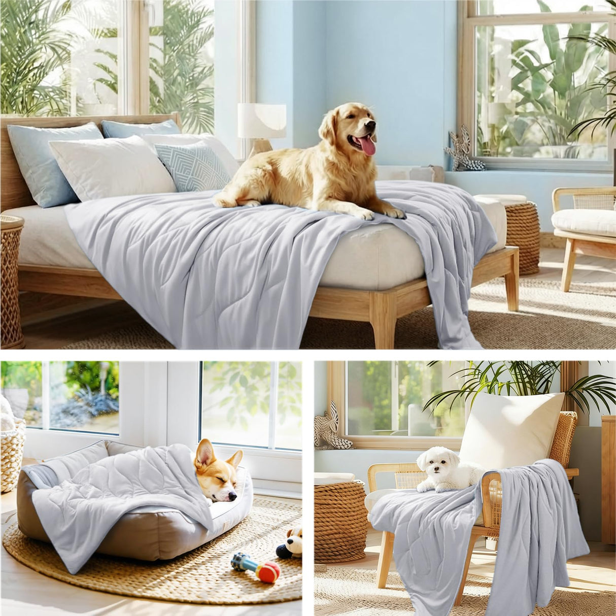 Luciphia Premium Cooling Dog Blanket Washable Q-MAX>0.5 Small Medium Large Pet Mat Puppy Cat Self-Cooling Soft Breathable Calming Throw for Sofa Crate Bed (Light Grey,40x60 inches)