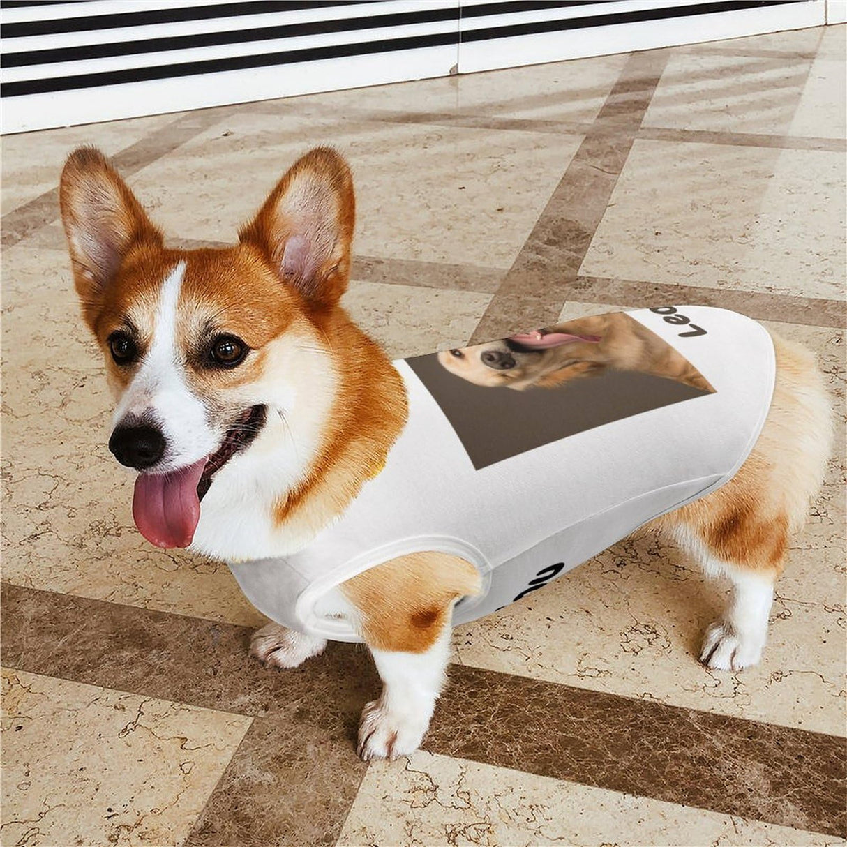 Jixoria Customized Dog Shirt with Photo Name Logo Design Your Own Dogs T-Shirt Personalized for Pet Puppy Cats, HotPink, XL