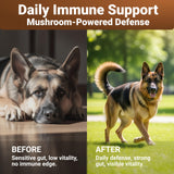 WuffWell Turkey Tail Mushrooms for Dogs – Mushroom Supplement for Dogs Immune Support – Aids Lumps & Bumps – Mushroom Powder for Dog – Vet-Recommended – Dog Mushrooms Powder – Made in USA - 140ct