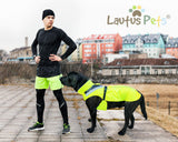 Lautus Pets Waterproof Dog Rain Coat, Reflective Safety Strips & Leash Hole – Lightweight Adjustable Jacket for Medium Breeds - M, Yellow