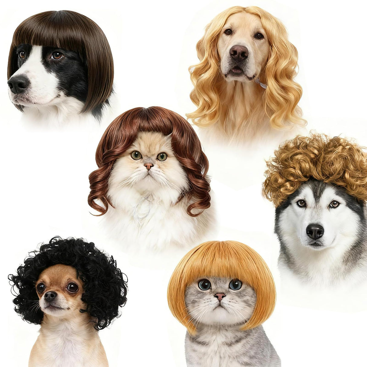 6pcs Fun Dog Wigs Suitable for Cat and Dog Cosplay Pet Wigs and Costumes Perfect for Christmas and Party Decorations