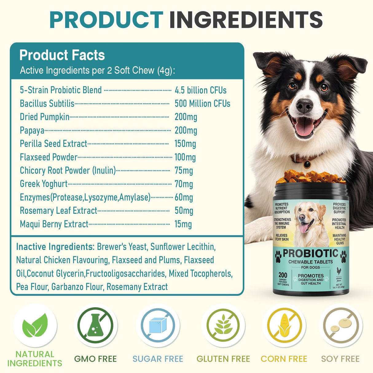 Probiotics for Dogs Gut Digestive Health Probiotic Chew for Dogs Digestive Enzymes Relieve Diarrhea Immunity Oral Problems Itching Constipation Prebiotics Dog Probiotics 200 Tablets Chicken Flavor
