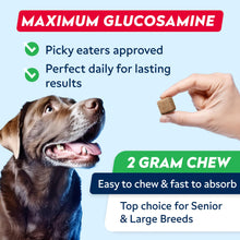 Load image into Gallery viewer, STRELLALAB Advanced Glucosamine Hip &amp; Joint Supplement for Senior Dogs - Green Lipped Mussel &amp; Collagen - Hip &amp; Joint Pain Relief - Large &amp; Small Breed - Joint Health - Bacon - 120 Chews
