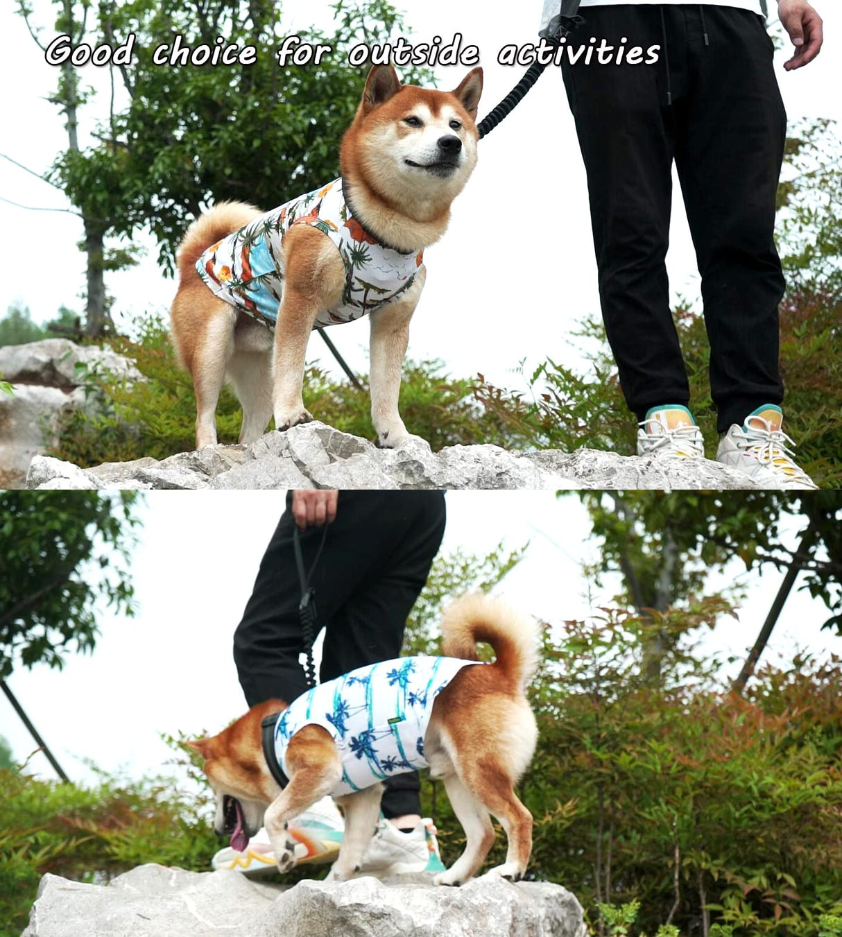 Sychien Hawaiian Dog Shirts,Quick Dry Summer Cooling Mesh Coconut Printing T-Shirt for Large Dogs,Blue+Yellow XL