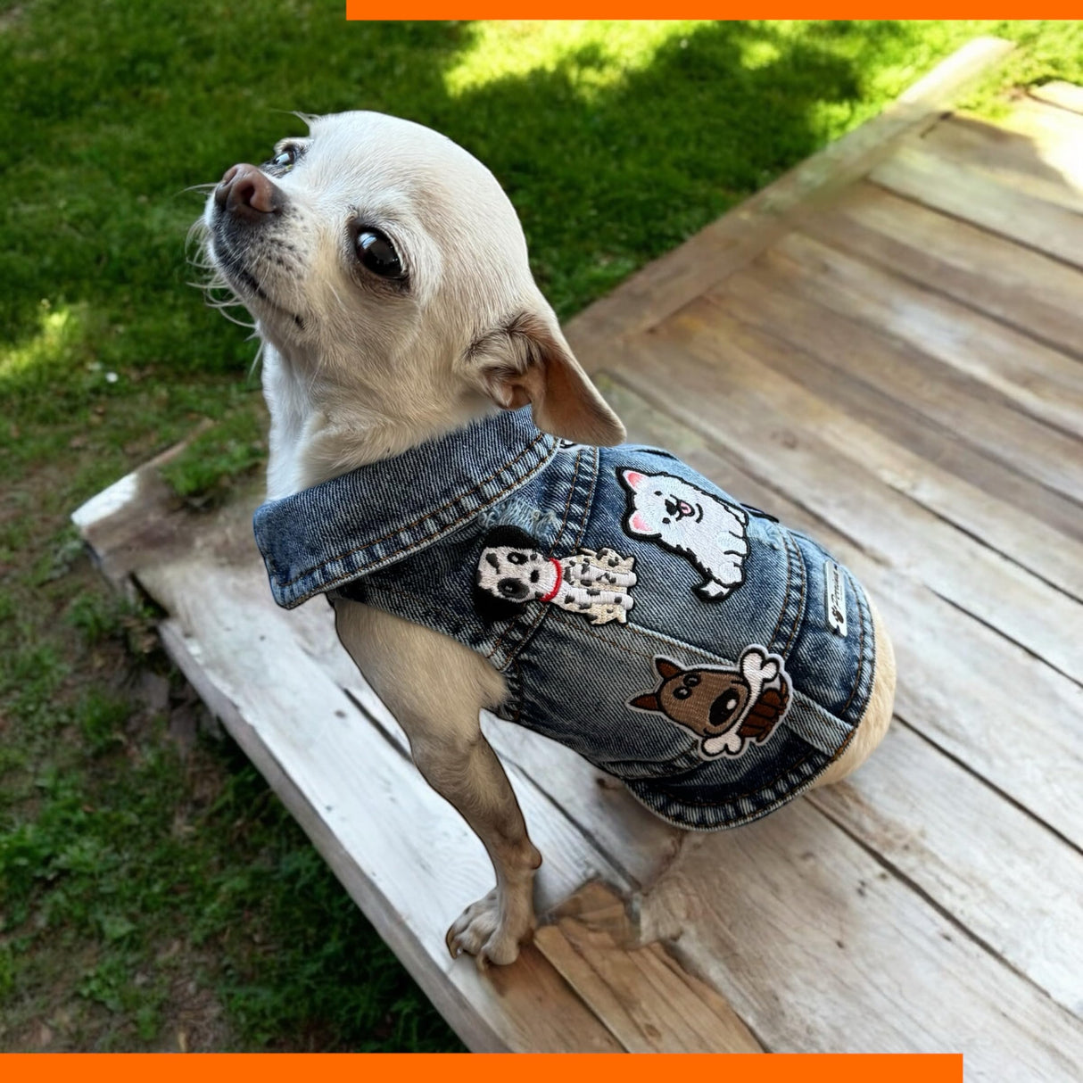 PERRINA Dog Jean Jacket - Cute Dog Outfits for Small & Medium Pets - Light & Breathable Denim Vest - Stylish Denim Cat Jacket Unique Designs - Easy to Wear & Take Off-Cool Puppy Clothes (XX-Large)