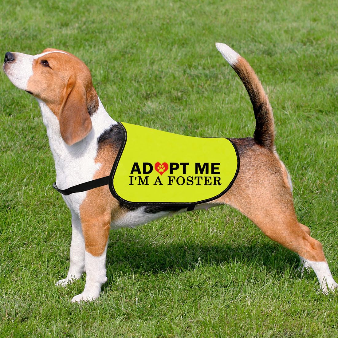 CENWA Adopt I’m A Foster Jacket Vest Adopt Dog Jacket Vest New Puppy Dog (I'm A Foster L)