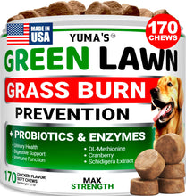 Load image into Gallery viewer, YUMA'S Dog Urine Neutralizer for Lawn - 170 Chews - Advanced Grass Green Savers for Dog Urine - Canine Pee Grass Neutralizer Supplement - Green Lawn Treats with Probiotics and Digestive Enzymes
