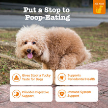 Load image into Gallery viewer, Zesty Paws Chew No Poo Bites for Dogs - Coprophagia Relief - Stool Eating Deterrent Soft Chews for Dogs - Gut, Periodontal &amp; Immune System Support with Probiotics - Chicken - 90 Ct
