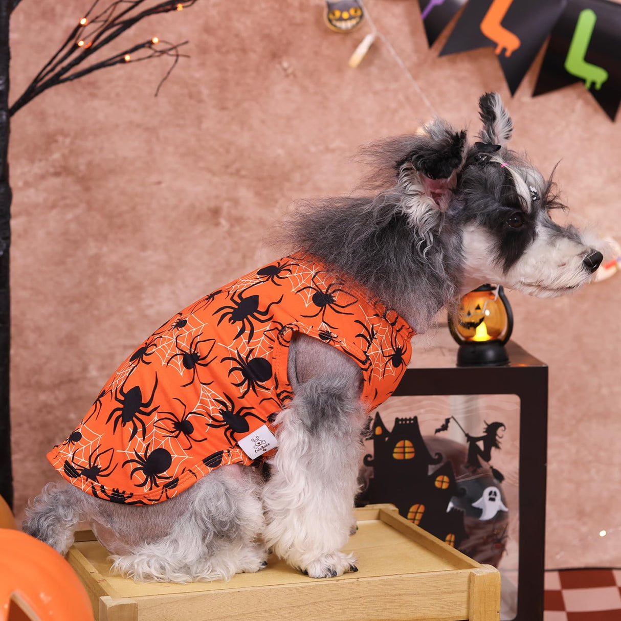 CuteBone Halloween Dog Shirts 2-Pack Soft Pet Clothes Breathable Summer Vest for Small Puppy and Stretchy Cat Apparel 2BX22XL