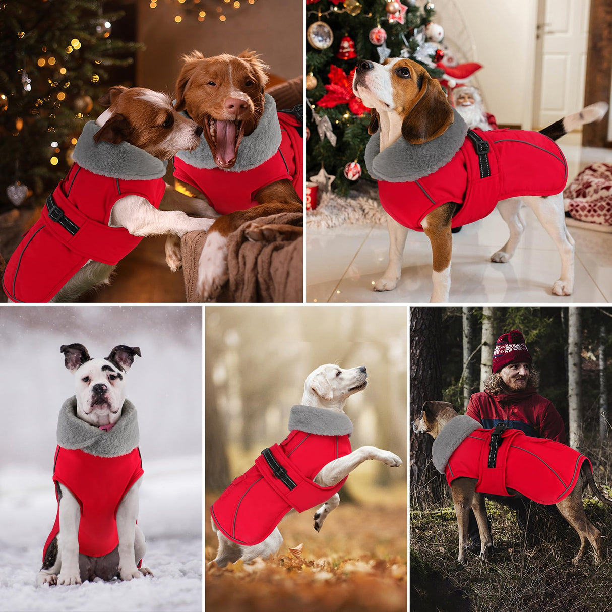 Dogcheer Dog Coat with Pocket, Waterproof Dog Jacket with Adjustable Buckle, Reflective Puppy Winter Coat Warm Turtleneck Fleece SnowJacket for Small Medium Large Dogs - Red L