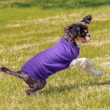 8 Pcs Winter Dog Shirts Pet Puppy Blank Clothes Soft Dog T-Shirt Breathable Plain Male Female Pet Shirts Cotton Puppy Clothes Outfit for Most Cats for Holiday Valentine's Day Outfit(M)