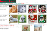 NACOCO Pet Christmas Costumes Dog Suit with Cap Santa Claus Suit Dog Hoodies Cat Xmas Costumes (Green, XXL)