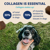 Under The Weather Collagen Chews for Dogs | Promotes Healthy Skin Coat and Stronger Hip & Joint | Improves Overall Mobility | Immunity and Anti-inflammatory Collagen for Dog Supplement | 60 Count