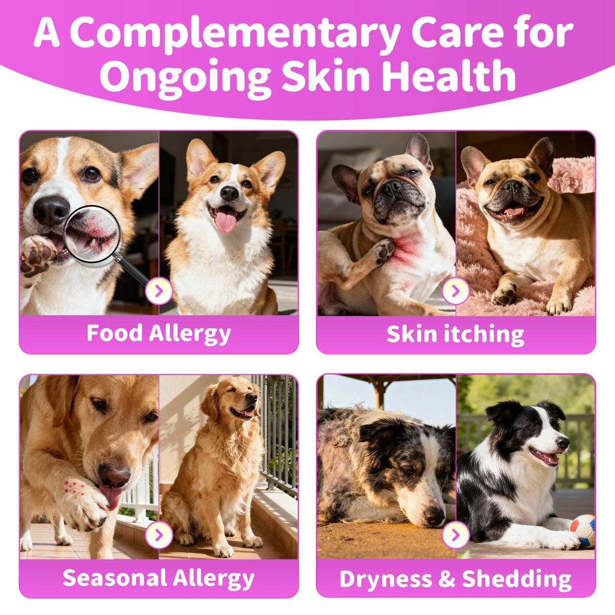 POPPAW Liquid Collagen for Dogs Skin Comfort & Calming, Dog Itch Relief & Anti-Scratching & Coat Supplement with Biotin for Skin Barrier & Sensitive Immune Health Support - Chicken Flavor, 2 FL.Oz