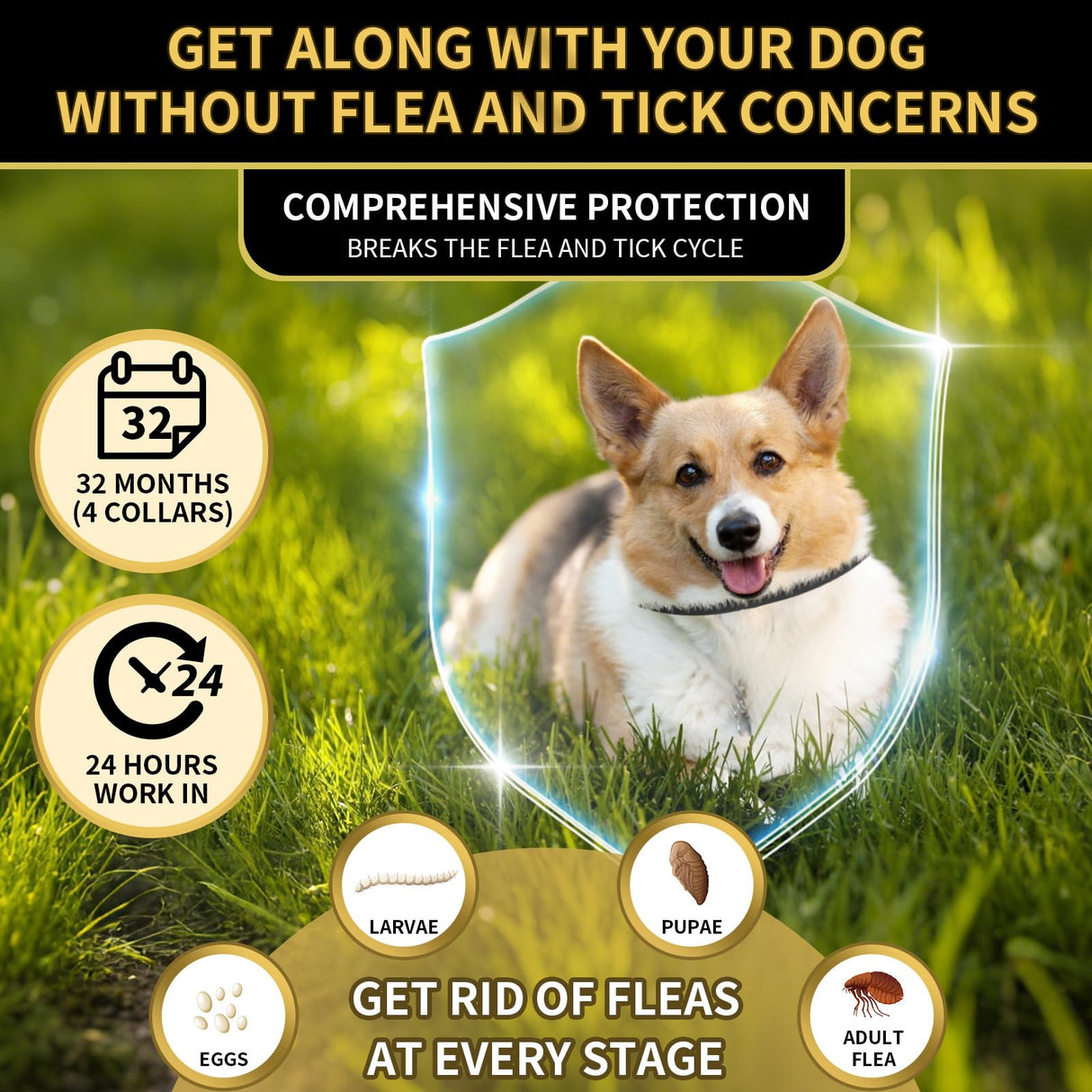 Lerqua Flea Collar for Dogs 4 Pack, 32 Months Comfort Flea and Tick Prevention, Waterproof Dog Flea and Tick Collar, Adjustable Flea and Tick Treatment for Dogs - One Sizes Fit All (Black)